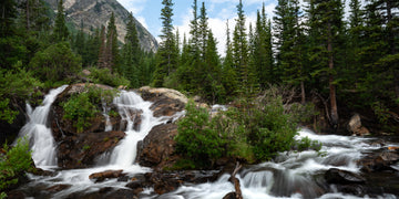 A Magnificent Discovery